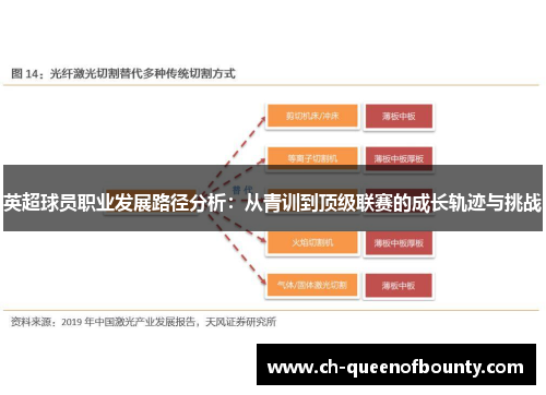 英超球员职业发展路径分析：从青训到顶级联赛的成长轨迹与挑战
